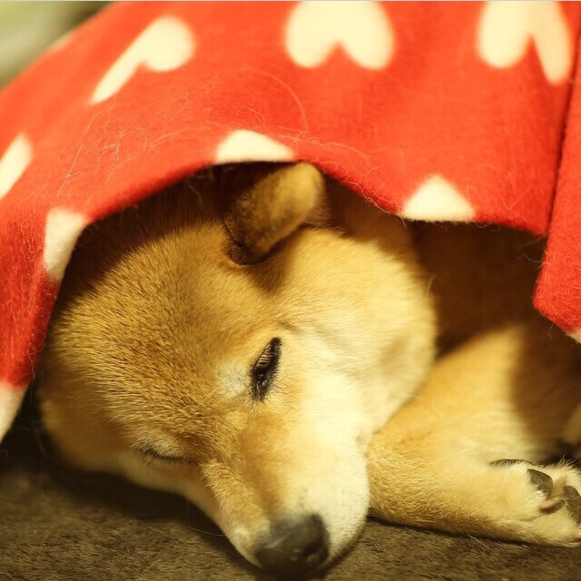 _城市高架自行车赛:穿越天际线的速度之战_,天际线建造了自行车道有用吗