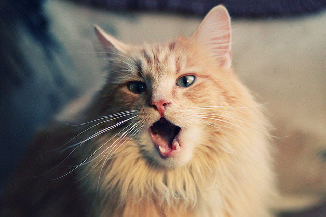 青少年“全民篮球日”在南京举行，共享运动快乐，青少年全国篮球联赛