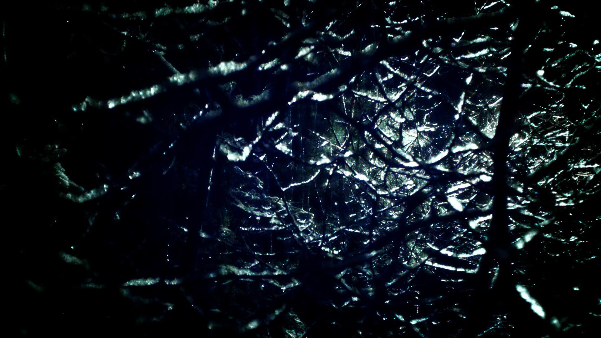 篮球专项技能动作视频资源开发及教学应用，篮球训练技能动作